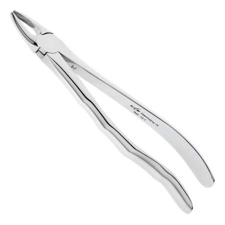 zlr7jqvt4jg76bm8bbthgt155ygl4hcr