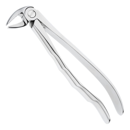 pb7zyz3p3tmif4ocvftoh9vduepoocn6