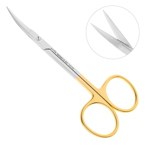 g6fm11oubkrn1ki3hf6idz5k2ndlpwcj