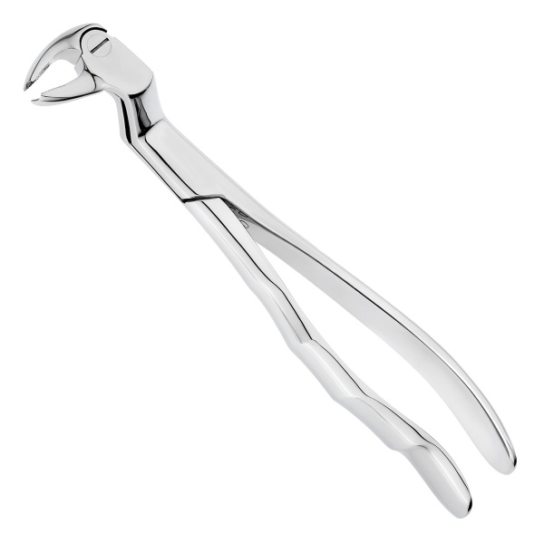 4s39h1ffb9gqilgy9g59pbehkz8vykth