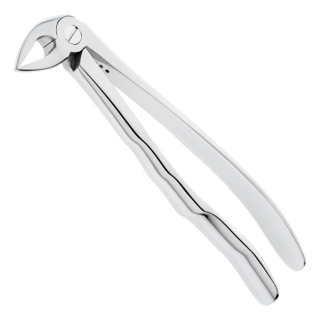 s3h45ysvaobvhh1316ukxromrnom0ud1