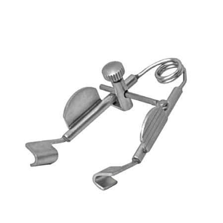 qlxd58041p03a0nshhlzr7etl0ezblhu