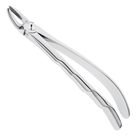 ls461bpqtessgfe7kvyn9ku1bbqgomb6